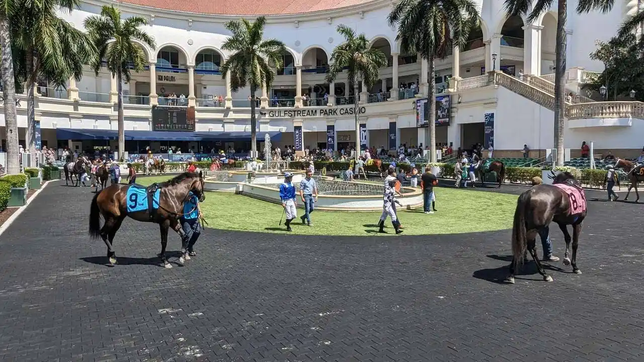 horse racing show